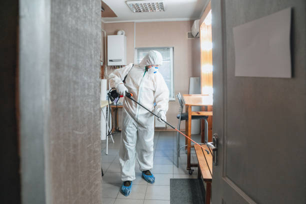 Best Mold Damage Restoration  in Rosebud, TX