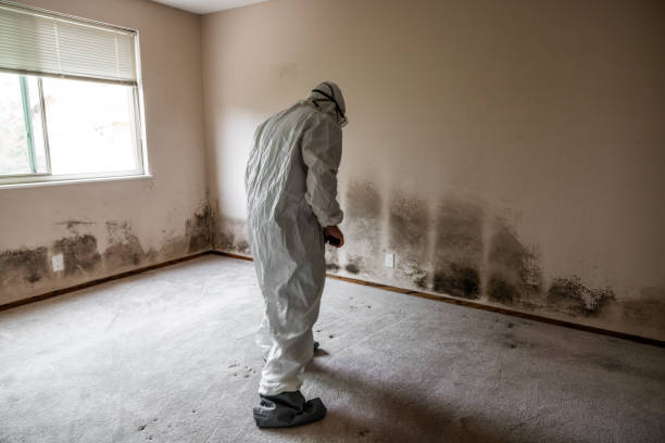 Best Industrial Mold Remediation  in Rosebud, TX